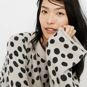 Madewell Leopard Dot Pullover Sweater